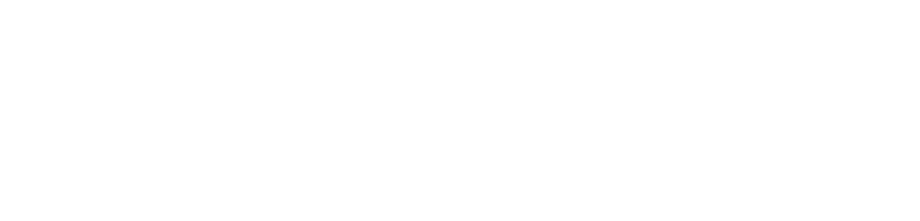 BridgeCom Systems